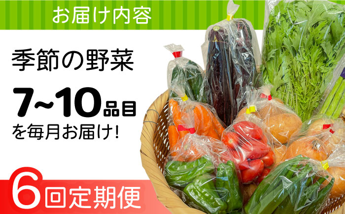 【6回定期便】直売所より発送！季節の野菜セット 7〜10品目 / 野菜定期便 やさい定期便 野菜 やさい 旬 詰め合わせ / 南島原市 / ながさき南部生産組合 [SBW004]