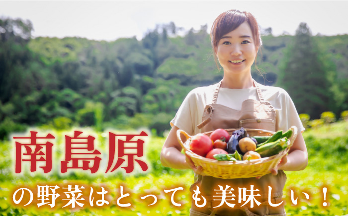 季節の野菜 15種類 セット 旬 産地直送 詰め合わせ / 野菜 やさい 新鮮 野菜セット / 南島原市 / ふるさと企画 [SBA023]