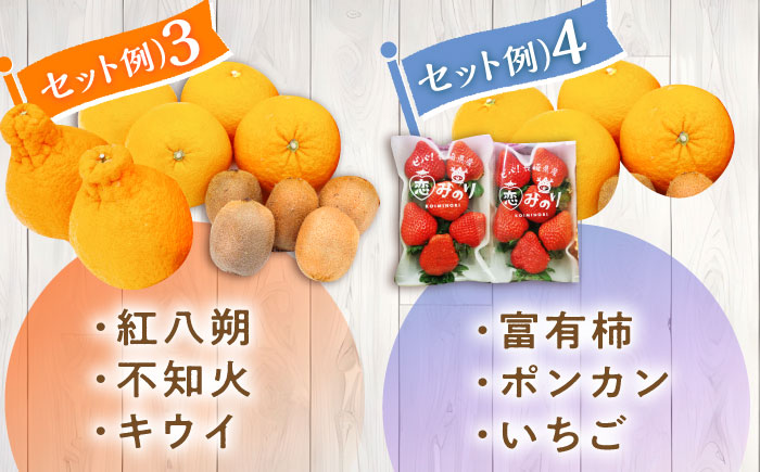 【12回定期便】＜2026年1月〜初回発送＞フルーツ定期便 旬の果物をお任せで2〜3品目お届け（2〜3品目×12回）季節の果物 詰め合わせ 果物 セット / 定期便 フルーツ 果物 春フルーツ 夏フルーツ 秋フルーツ 冬フルーツ /  南島原市 / 吉岡青果 [SCZ014]