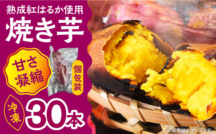【数量限定】【ねっとり甘い熟成サツマイモ】冷凍焼き芋（紅はるか） 30本(S〜M) / さつまいも やき芋 冷凍 小分け 個包装 / 南島原市 / 池田海陸物産 [SEW003]