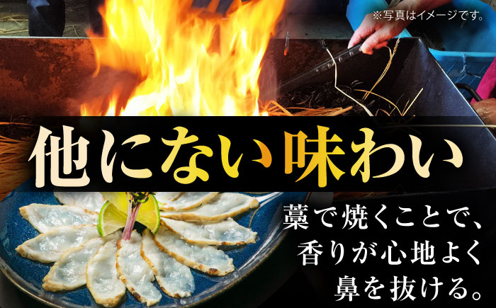 【新鮮！贅沢おつまみ】トラフグのたたき ＆ ふぐ 刺身（大皿/220g）×1枚 / ポン酢 もみじおろし セット 冷凍 ふぐ 河豚 藁焼き / 南島原市 / 株式会社 FUKUNOTANE [SFJ030]