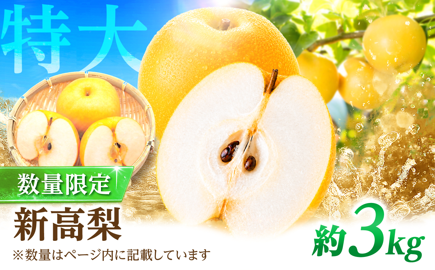 【9～10月発送】【梨の王様】 こだわり 新高梨 約3kg / 梨 ナシ フルーツ 果物 旬 先行予約 産地直送 家庭用 国産 / 南島原市 / 株式会社マルハチ [SFG001]