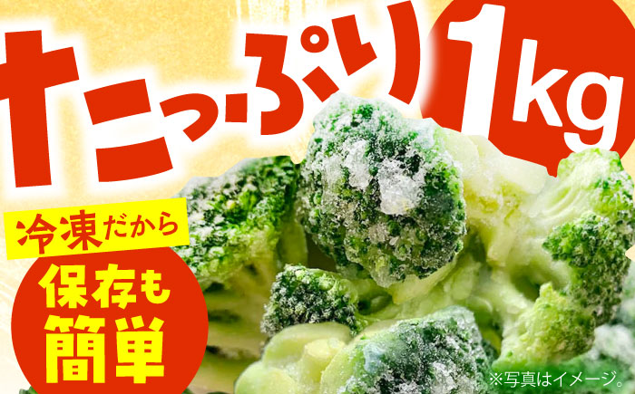 たっぷり 冷凍 ブロッコリー 1kg / ブロッコリー ぶろっこりー 野菜 やさい 小分け 冷凍 / 南島原市 / 池田海陸物産 [SEW006]