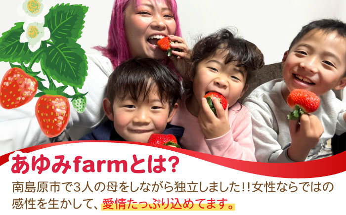 南島原産 いちご 「恋みのり」約250g×2P / イチゴ 苺 フルーツ 果物 / 南島原市 / あゆみfarm [SFF006]