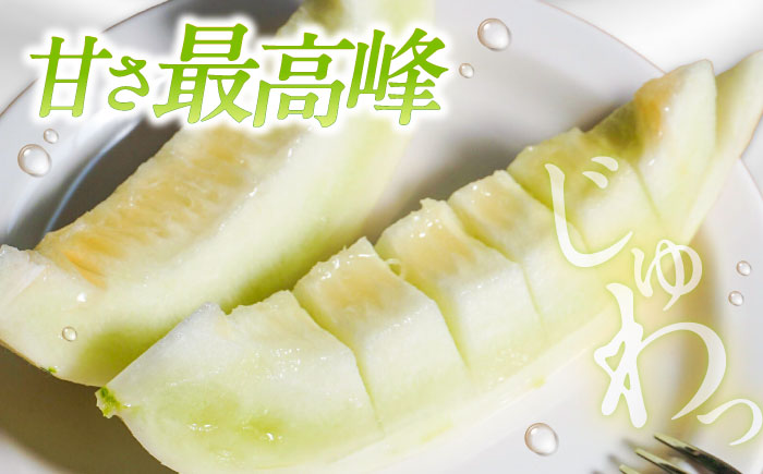 【2026年3月下旬〜発送】しらかばメロン 5玉〜8玉 約5kg / メロン めろん 果物 フルーツ / 南島原市 / うえだメロン園 [SAD009]