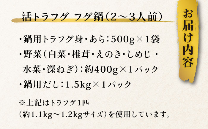 【長崎県産】トラフグフグ刺し・フグ鍋セット（2〜3人前）  / ふぐ 刺身 鍋 南島原市 / ながいけ [SCH033]