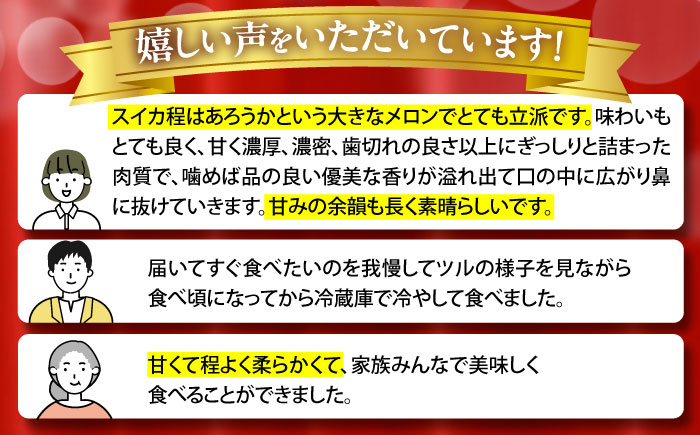 【2026年7月初旬〜発送】グリーンメロン 2玉 約4kg / メロン めろん 果物 フルーツ / 南島原市 / うえだメロン園 [SAD010]