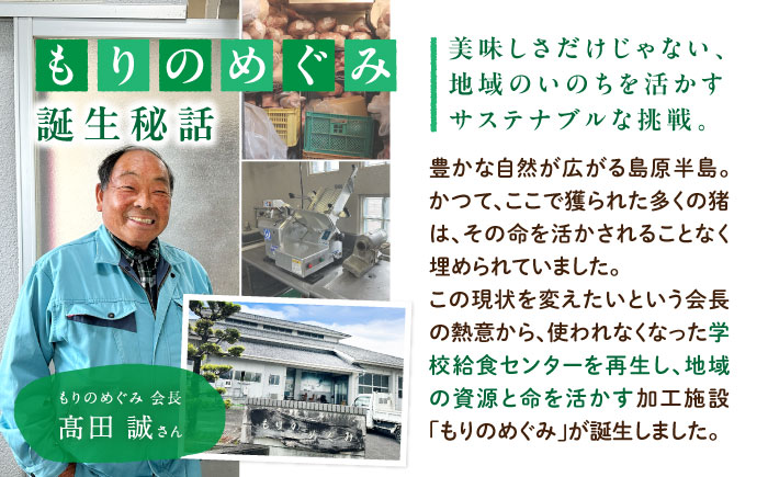 猪肉 ミンチ 500g×2パック 雲仙いのしし / ひき肉 肉 イノシシ ジビエ いのしし ハンバーグ / 南島原市 / もりのめぐみ [SDB012]