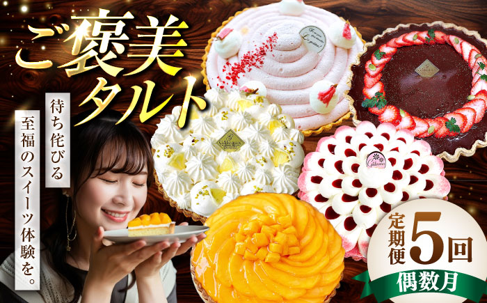 【偶数月 5回定期便】季節の タルト 定期便 / ティラミス お菓子 ケーキ チョコレート マンゴー レモン タルト フルーツ 旬 スイーツ 南島原市 / アトリエジジ [SAA034]
