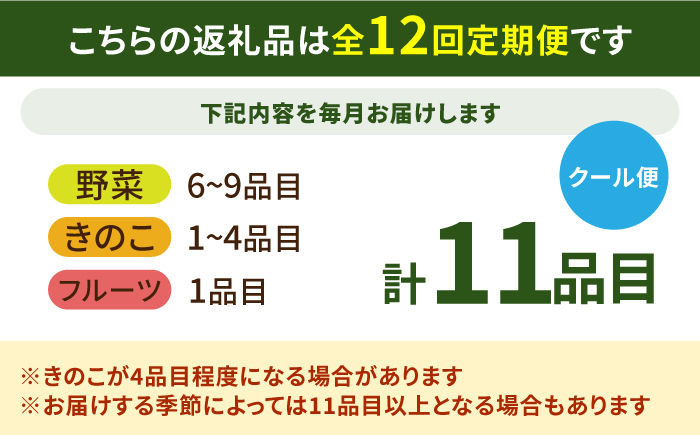 【12回定期便】野菜 キノコ 果物 11品目 詰め合わせ お届け 詰め合わせ 12回  / 定期便 野菜 やさい 春野菜 夏野菜 秋野菜 冬野菜 旬 / 南島原市 / 吉岡青果 [SCZ007]