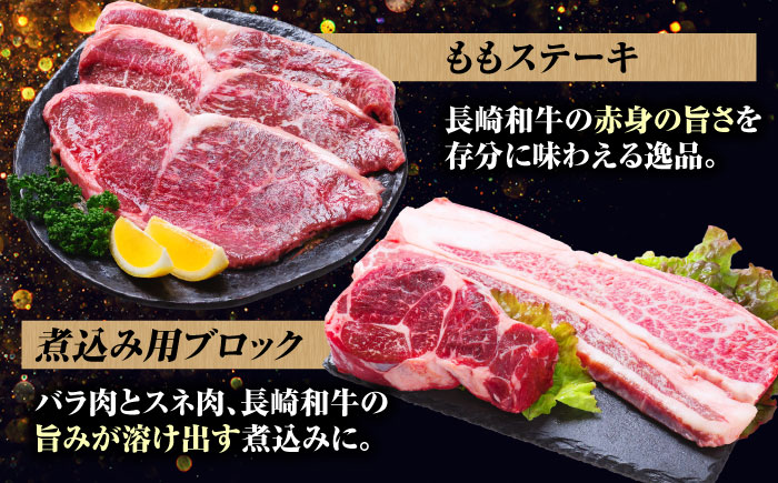 【12回定期便】希少部位 長崎和牛 定期便 プレミアムコース 計10kg お楽しみ 牛肉 バラエティ定期便 国産 / サーロイン もも カルビ ロース 焼き肉 すき焼き リブロースステーキ しゃぶしゃぶ 牛ミンチ ヒレ リブロース トモサンカク / 南島原市 / 水田精肉店 [SDZ044]