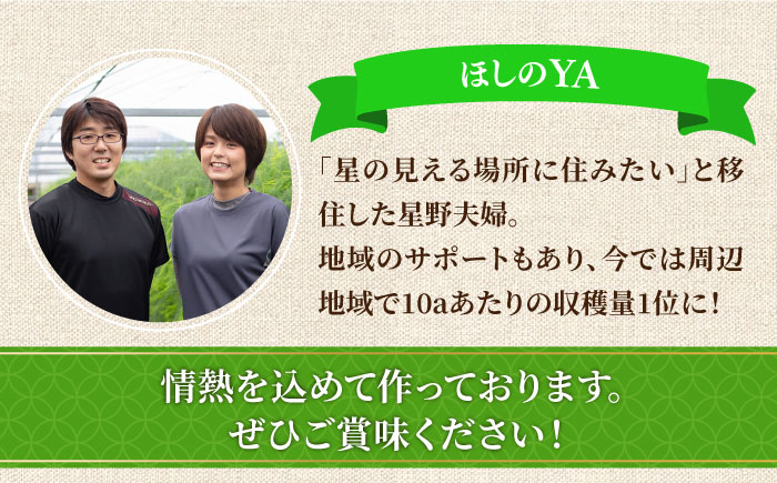【3回定期便】【星のアスパラ】春・夏・秋 の グリーン アスパラガス 約1kg / アスパラ 野菜 / 南島原市 / ほしのYA [SEY013]