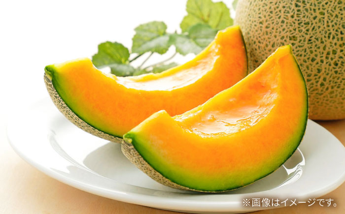 【2026年5月〜発送】タカミメロン レッド 2箱（1箱 3〜6玉） / メロン めろん フルーツ 果物 / 南島原市 / 南島原果物屋 [SCV032]