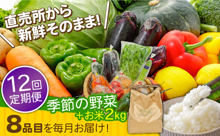 【12回定期便】直売所より発送！お米と季節の野菜セット 8品目 / 米 こめ 白米 野菜定期便 やさい定期便 野菜 やさい 旬 詰め合わせ / 南島原市 / ながさき南部生産組合 [SBW015]