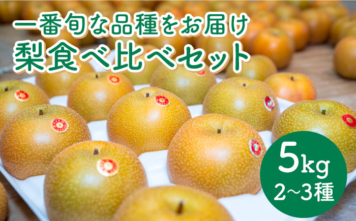 【2025年8月下旬〜発送】梨 2種以上 食べ比べ セット 5kg / 豊水 秋麗 菊水 あきづき / なし フルーツ 果物  / 南島原市 / 松尾観光梨園 [SCX001]