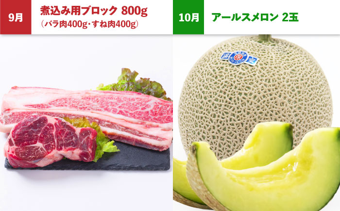 【6回定期便】長崎和牛と旬のフルーツが楽しめる バラエティ定期便 / フルーツ定期便 果物定期便 肉定期便 牛肉 びわ メロン ぶどう みかん / 南島原市 / 贅沢宝庫 [SDZ055]