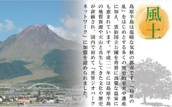 【コシの強さ・のど越しは逸品！】 こだわりの麺匠が創る 島原 手延 素麺 60束  / そうめん 南島原市 / ふるさと企画 [SBA006]