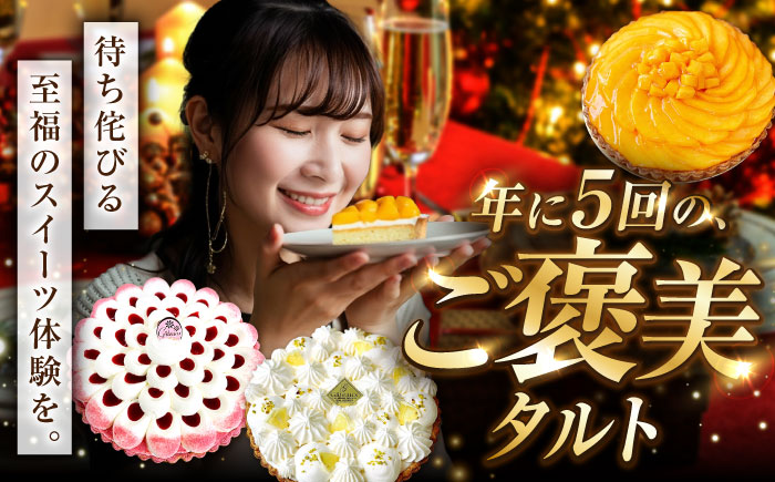 【偶数月 5回定期便】季節の タルト 定期便 / ティラミス お菓子 ケーキ チョコレート マンゴー レモン タルト フルーツ 旬 スイーツ 南島原市 / アトリエジジ [SAA034]