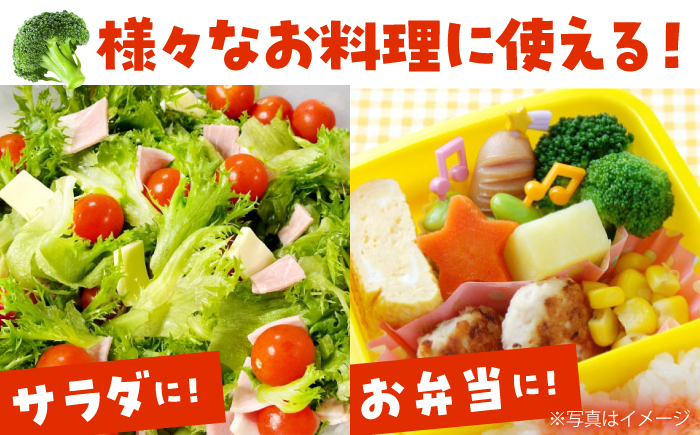 たっぷり 冷凍 ブロッコリー 1kg / ブロッコリー ぶろっこりー 野菜 やさい 小分け 冷凍 / 南島原市 / 池田海陸物産 [SEW006]