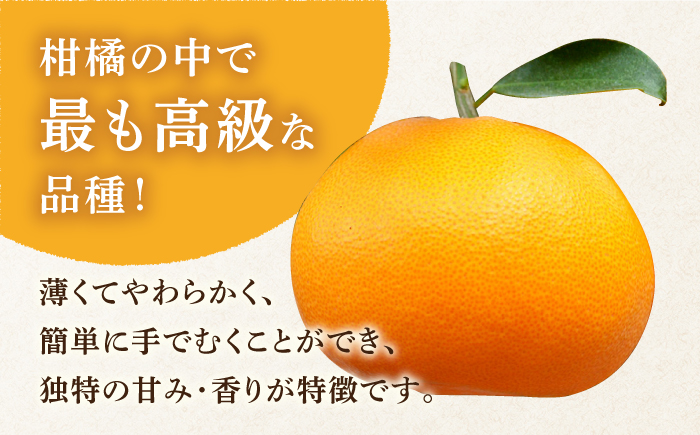 【2025年2月～発送】期間限定！せとか 2kg / みかん 贈答用 化粧箱 南島原市 / JA島原雲仙東南部基幹センター [SAC002]