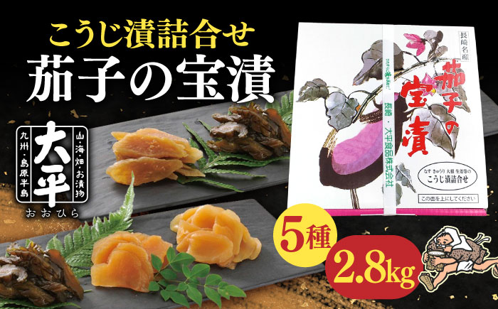 茄子 の 宝漬 （こうじ漬 詰合） / 漬物 なす こうじ きゅうり 大根 生姜 瓜 もろみ / 南島原市 / 大平食品 [SAK003]