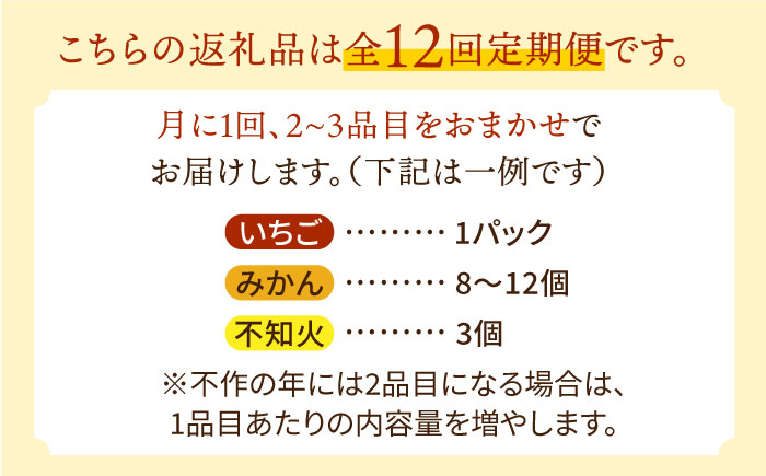 【12回定期便】フルーツ定期便 旬の果物をお任せで2〜3品目お届け（2〜3品目×12回）季節の果物 詰め合わせ 果物 セット / 定期便 フルーツ 果物 春フルーツ 夏フルーツ 秋フルーツ 冬フルーツ /  南島原市 / 吉岡青果 [SCZ014]