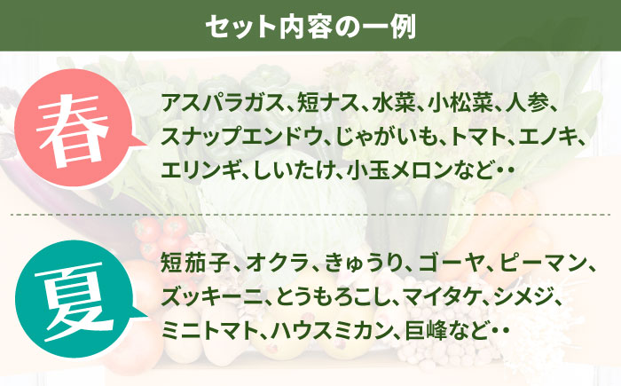 【毎月24回コース】豪華！野菜 セット 15品目以上 24回 定期便  / 野菜 フルーツ きのこ 詰め合わせ 南島原市 / 吉岡青果 [SCZ003]