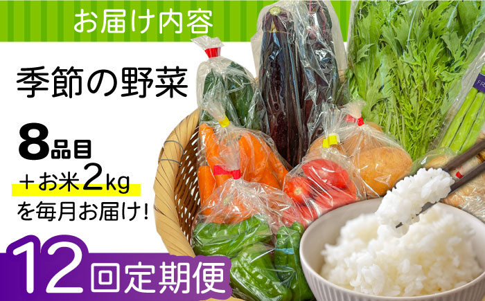 【12回定期便】直売所より発送！お米と季節の野菜セット 8品目 / 米 こめ 白米 野菜定期便 やさい定期便 野菜 やさい 旬 詰め合わせ / 南島原市 / ながさき南部生産組合 [SBW015]