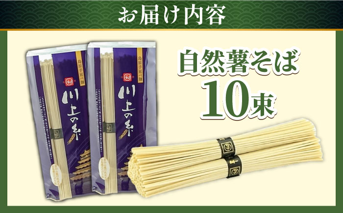 【年内発送】年越しそば 手延べ 自然薯 そば 500g（250g×2）/ 蕎麦 そば ソバ 乾麺 麺 自然薯 3000円 3000 / 南島原市 / 川上製麺 [SCM021]