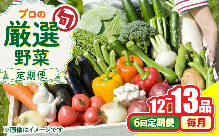 【6回定期便】野菜のプロが選ぶ 旬の野菜セット 12〜13品目 野菜定期便 / 野菜 やさい セット 新鮮 / 南島原市 / 愛2農園 [SGG003]