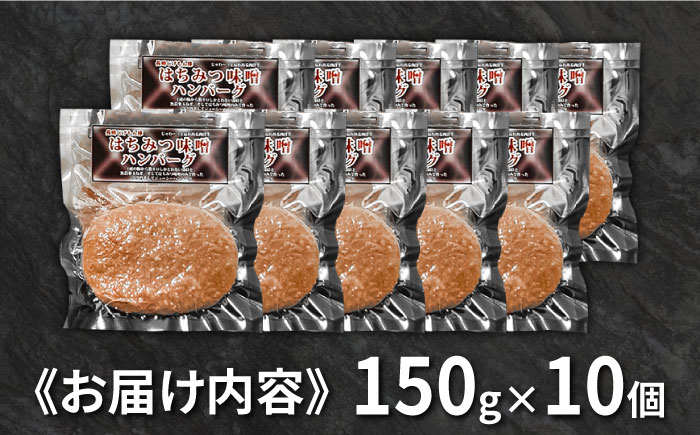 【長崎じげもん豚】はちみつ味噌 ハンバーグ（10個）/  はんばーぐ 小分け 冷凍  / 南島原市 / 溝田精肉店 [SBP001]