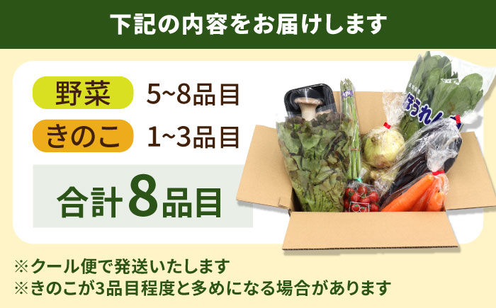 お試し野菜セット 8品目 詰め合わせ / 野菜 やさい ヤサイ 旬 新鮮 / 南島原市 / 吉岡青果 [SCZ027]
