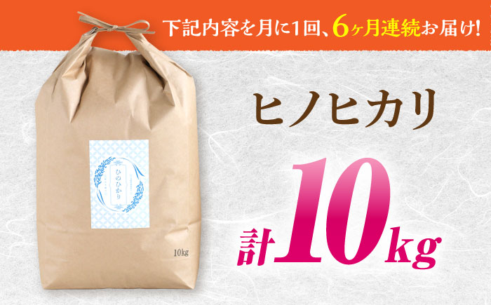 【南島原市産ヒノヒカリ】10kg×6回 定期便 / ひのひかり 米 お米 こめ コメ 精米 / 南島原市 / 林田米穀店 [SCO002]