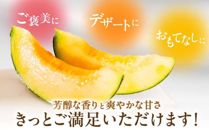 【2026年7月下旬〜発送】アールスメロン 2玉 約3.2kg / メロン めろん 果物 フルーツ / 南島原市 / うえだメロン園 [SAD011]