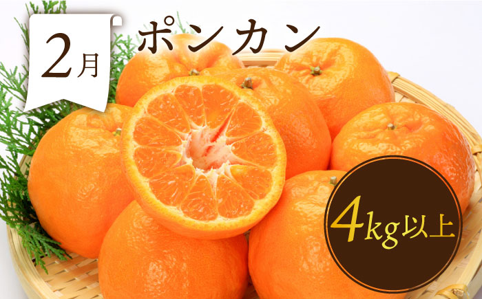 フルーツ定期便【6回定期便 偶数月コース】旬のフルーツをセット / ハウスびわ メロン ぶどう 巨峰 みかん など / 定期便 旬 フルーツ 果物 春フルーツ 夏フルーツ 秋フルーツ 冬フルーツ 果物定期便 フルーツ定期便 果物定期 フルーツ定期 人気 人気果物 人気フルーツ / 南島原市 / 贅沢宝庫 [SDZ022]