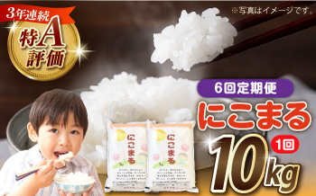 【6回定期便】長崎県産 精米 にこまる 10kg（5kg×2袋）総計60kg / 米 お米 こめ コメ 精米 / 南島原市 / 大松屋商店 [SDR015]
