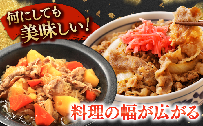 国産 黒毛和牛 熟成肉 切り落とし計1kg（500g×2パック）/ 小分け 国産牛 お肉 牛肉 切落し 冷凍 焼肉 すき焼き / 南島原市 / ふるさと企画 [SBA093]