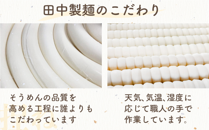 【国産 小麦 100%】 【ノンオイル製法】島原手延べそうめん しらゆり 50g×10束 500g  / そうめん 島原 手延べ 素麺 麺 乾麺 ギフト 田中製麺 / 南島原市 / 贅沢宝庫 [SDZ013]　