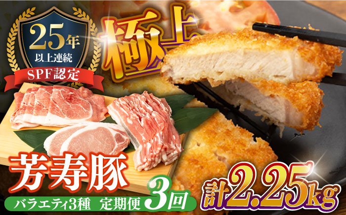 【3回 定期便】やっちゃおいしか芳寿豚バラエティセット 計750g 南島原市 / 芳寿牧場 [SEI011]