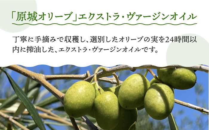 【2024年11月〜発送】【3回定期便】原城オリーブ エクストラヴァージン オイル 100ml 2本 / 調味料 油 オリーブオイル オリーブ / 南島原市 / ミナサポ [SCW050]