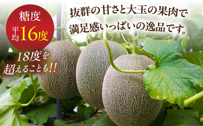 【2026年7月初旬〜発送】グリーンメロン 2玉 約4kg / メロン めろん 果物 フルーツ / 南島原市 / うえだメロン園 [SAD010]