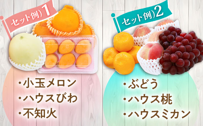【12回定期便】＜2026年1月〜初回発送＞フルーツ定期便 旬の果物をお任せで2〜3品目お届け（2〜3品目×12回）季節の果物 詰め合わせ 果物 セット / 定期便 フルーツ 果物 春フルーツ 夏フルーツ 秋フルーツ 冬フルーツ /  南島原市 / 吉岡青果 [SCZ014]
