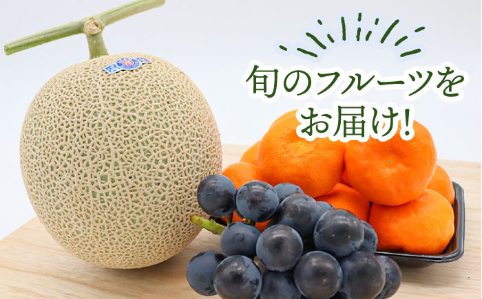 【12回定期便】＜2026年1月〜初回発送＞フルーツ定期便 旬の果物をお任せで2〜3品目お届け（2〜3品目×12回）季節の果物 詰め合わせ 果物 セット / 定期便 フルーツ 果物 春フルーツ 夏フルーツ 秋フルーツ 冬フルーツ /  南島原市 / 吉岡青果 [SCZ014]
