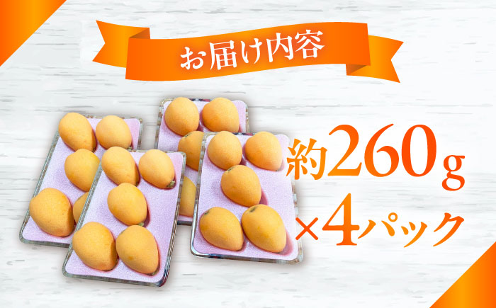 【数量限定】長崎ハウス びわ 約1kg（約260g × 4p） / フルーツ びわ ビワ 枇杷 / 南島原市 / O\' Berry! [SGA002]