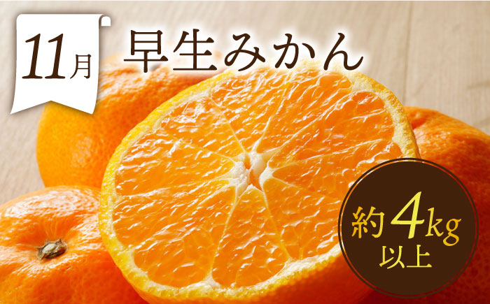 フルーツ定期便【6回定期便 奇数月コース】フルーツ定期便 旬のフルーツをセット/ いちご メロン ハウスみかん 梨 柿 など  / 定期便 旬 フルーツ 果物 春フルーツ 夏フルーツ 秋フルーツ 冬フルーツ 果物定期便 フルーツ定期便 果物定期 フルーツ定期 人気 人気果物 人気フルーツ / 南島原市 / 贅沢宝庫 [SDZ021]