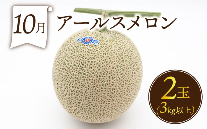 フルーツ定期便【6回定期便 偶数月コース】旬のフルーツをセット / ハウスびわ メロン ぶどう 巨峰 みかん など / 定期便 旬 フルーツ 果物 春フルーツ 夏フルーツ 秋フルーツ 冬フルーツ 果物定期便 フルーツ定期便 果物定期 フルーツ定期 人気 人気果物 人気フルーツ / 南島原市 / 贅沢宝庫 [SDZ022]