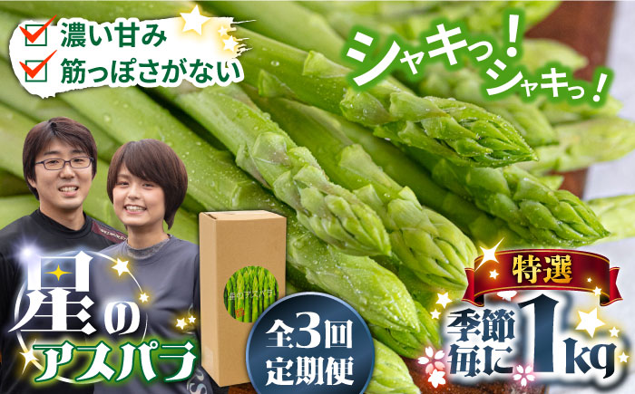 【3回定期便】【星のアスパラ】春・夏・秋 の グリーン アスパラガス 約1kg / アスパラ 野菜 / 南島原市 / ほしのYA [SEY013]