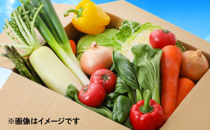 野菜のプロが選ぶ 旬の野菜セット 12～13品目 野菜定期便 / 野菜 やさい セット 新鮮 / 南島原市 / 愛2農園 [SGG005]