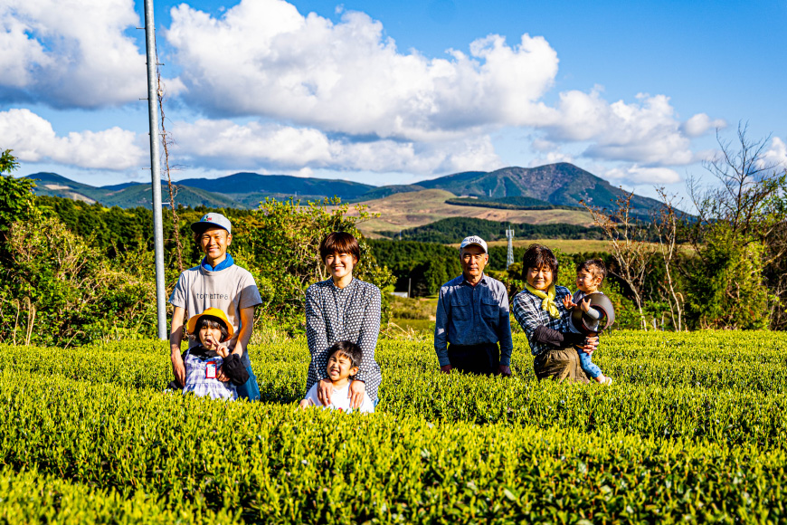 お茶 緑茶 そのぎ茶3種セット 各100g [そのぎ茶深緑の里 長崎県 東彼杵町 hs42bag570001] お茶 茶葉 緑茶 日本茶 茶 さえみどり やぶきた はるみどり そのぎ茶