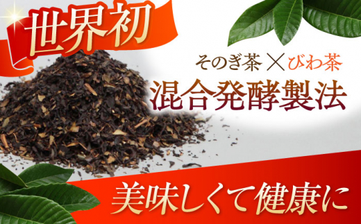 【2回定期便】 【世界が認めたふたつ星の味】長崎香茶びわ ペットボトル500ml×24本/茶 お茶 ペットボトル 東彼杵町/株式会社サンダイ [BDG002]